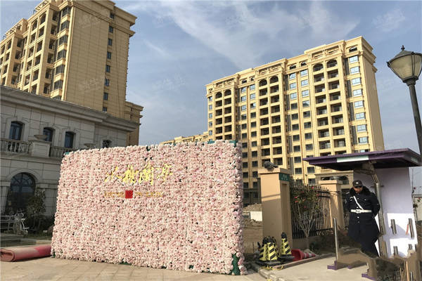 最新开马结果2024，多方观点解析与个人立场阐述
