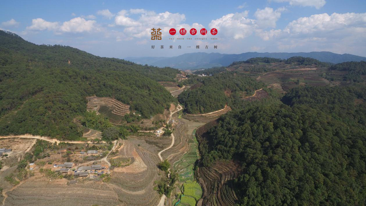 甘肃渭源车祸未挡旅行路，探寻自然美景，心灵宁静之旅最新报道