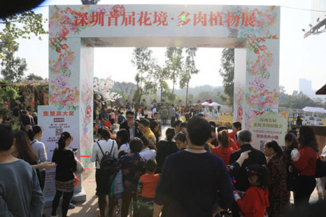 涉县摊位出租转让，价值与风险并存的信息解析