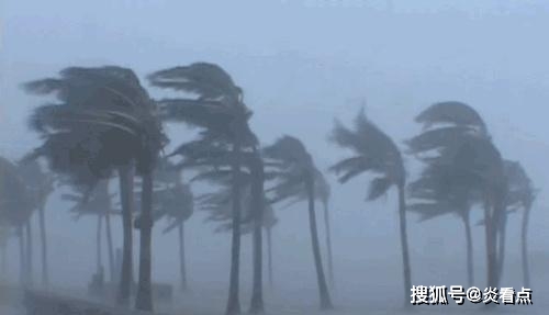 台风黄蜂，逆风中的励志故事与自信成就之旅