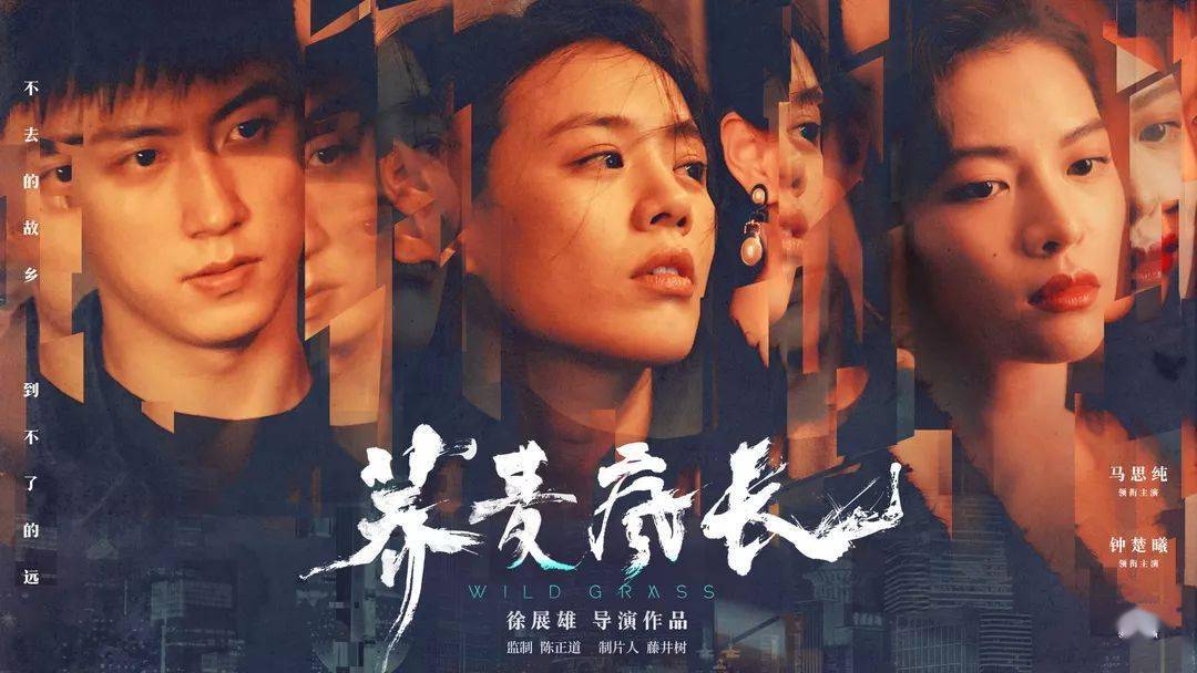 探寻电影中的爱情故事与情感共鸣，偷爱电影的魅力