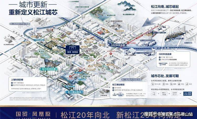 大黑拾最新市场价格解析，市场风云与最新价格走势探讨