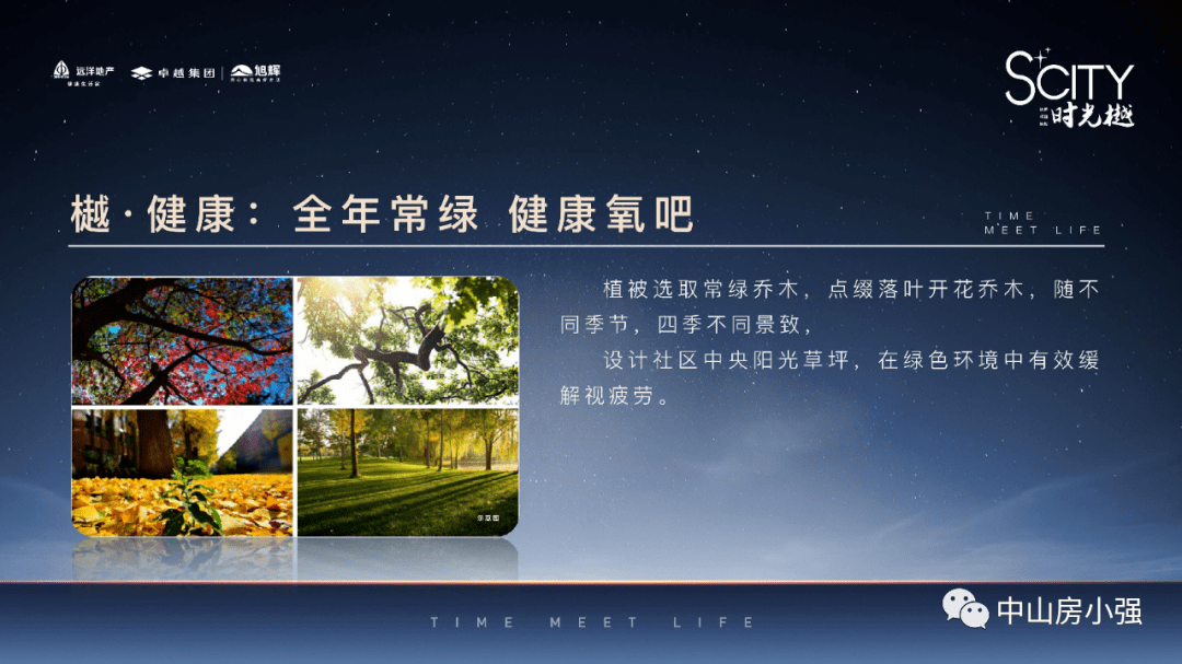 最新消消乐游戏深度解析与观点阐述大全