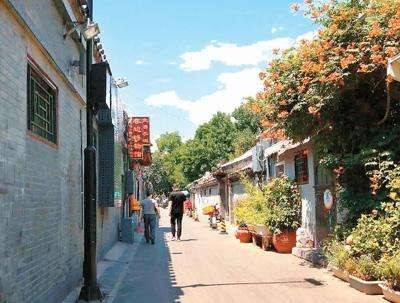 榆林最新房源出售信息及小巷深处的宝藏小店独家风采探寻