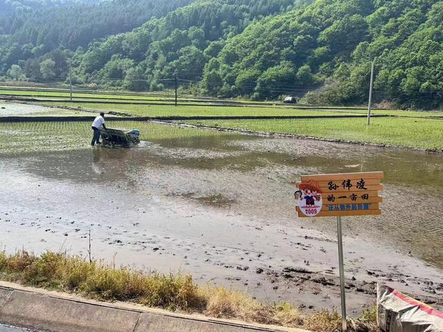 新赣南路改造完成，探索自然美景，重拾内心宁静之路