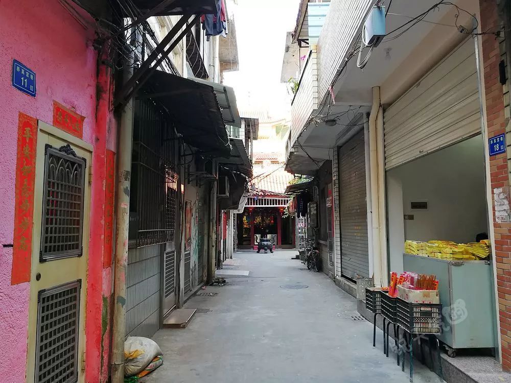长葛最新新闻今天,长葛小巷深处的隐藏瑰宝，今日探访一家特色小店的故事