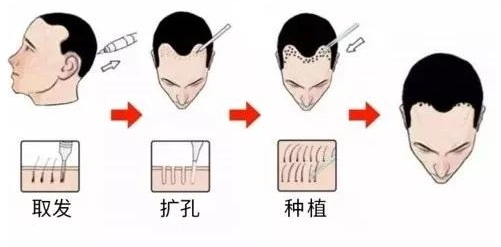 新闻中心 第224页