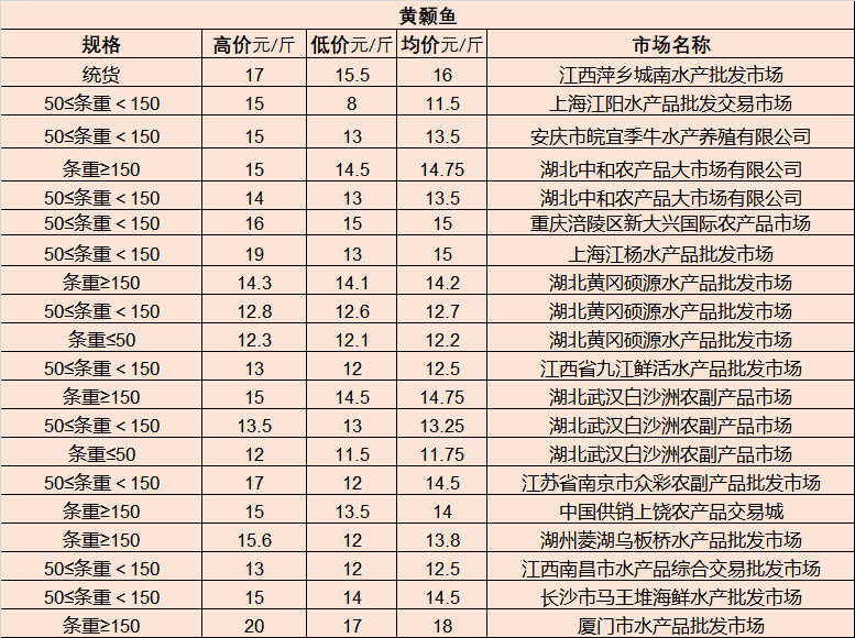 最新理论片大全2024，自然美景的心灵之旅启程寻找内心平和之地
