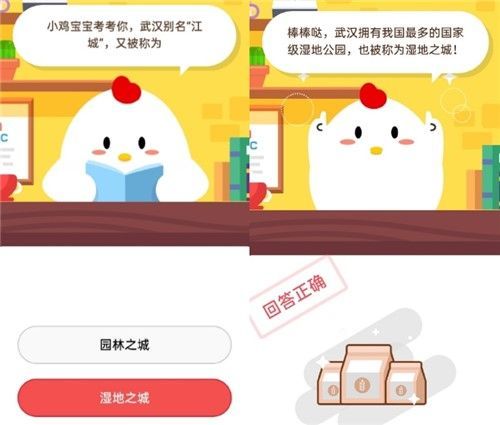 最新小鸡答案获取与解析步骤指南，适用于初学者与进阶用户