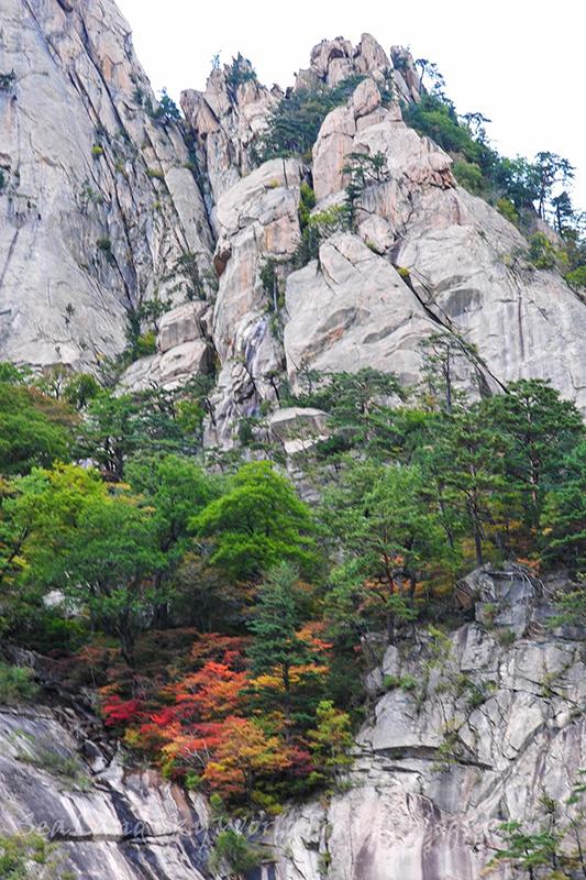 最新韩国影片，自然美景之旅，探寻内心宁静与喜悦