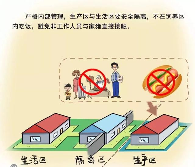 全球疫情最新汇总，感染扩散、影响及防控策略全面解析
