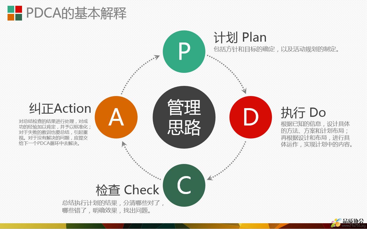 深度解析最新循环圈现象，观点阐述与探讨