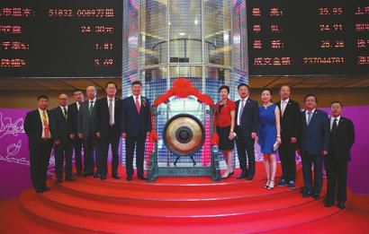 小步大梦想，公司上市之路的欢笑与陪伴策略指南