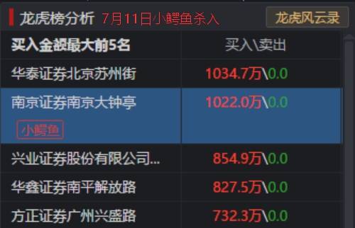澄星股份最新动态深度解析与观点阐述，深度探讨公司最新进展与前景展望