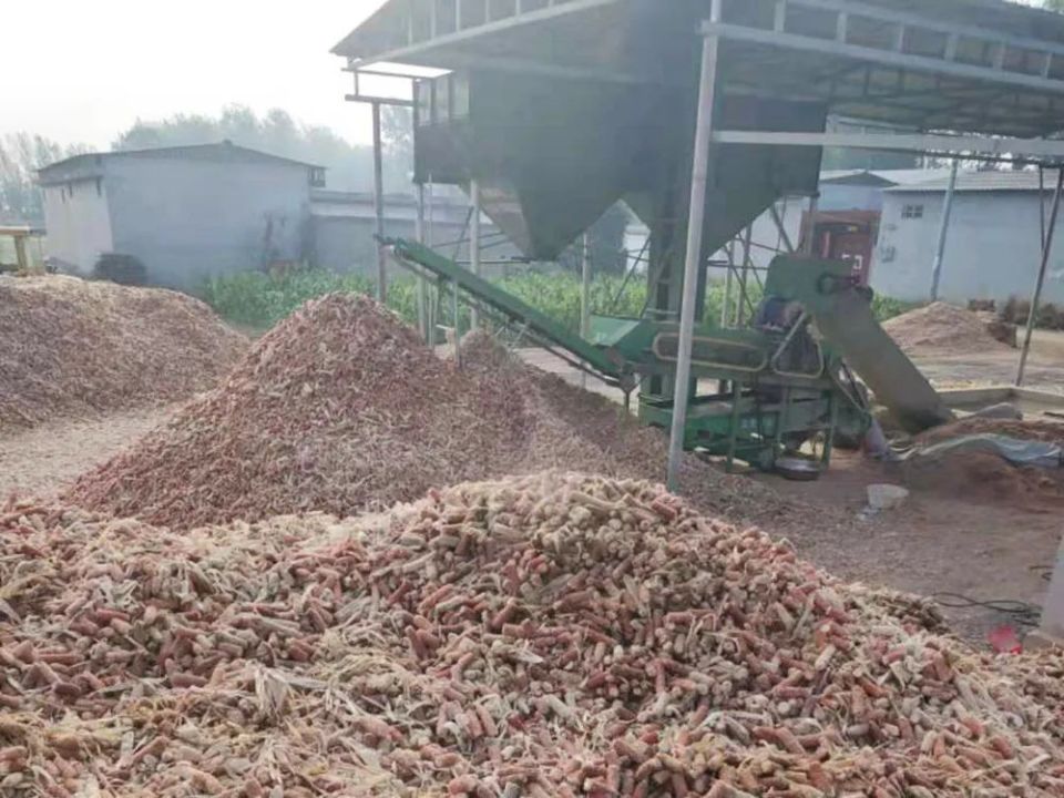 玉米芯最新市场价格,探秘小巷深处的玉米芯宝藏，最新市场价格与独特故事