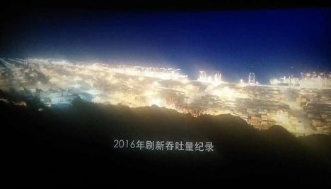 宁波电影资讯，自然之旅探寻内心宁静与幽默力量