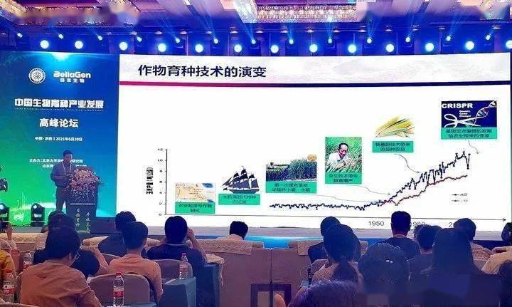 雄县最新资讯全面解读，最新动态与评测介绍
