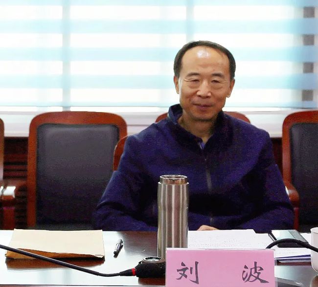 河南盐业改革最新动态,河南盐业改革最新动态，产品特性、使用体验与竞品对比的全面评测
